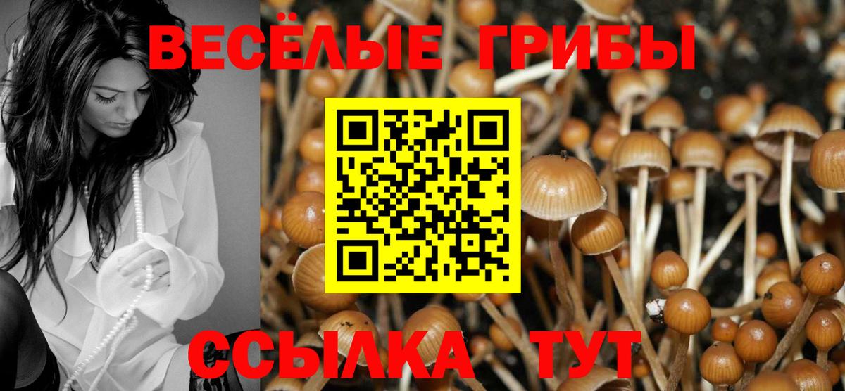 Галлюциногенные грибы мицелий  Галлюциногенные грибы Psilocybe  Сочи  Вход с VPN 